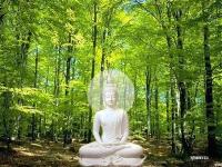 Quan Niệm Về Đức Phật Theo Đại Thừa Phật Giáo