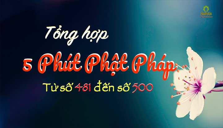 Tong Hop 5ppp 481-500