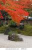 autumn-japanese-garden-thumbnail