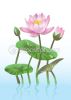 1532610-pink-lotus-flower-thumbnail