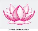 lotus-flower-k1141573-thumbnail