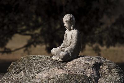 Phật Giáo Và Thần Kinh Học