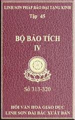 tn_Bo-Bao-Tich-45