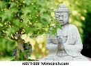 buddha-is071-006-thumbnail