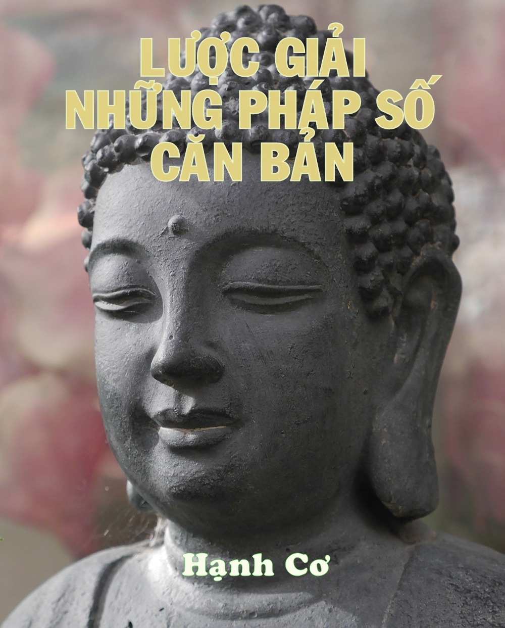 luoc_giai_nhung_phap_so_can_ban