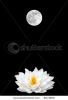 white-lotus-water-lily-gladstoniana-genus-and-a-full-moon-on-a-spring-equinox-set-8674855-thumbnail