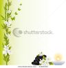 background-with-jasmine-flowers-bamboo-branches-spa-stones-and-candles-43421932-thumbnail