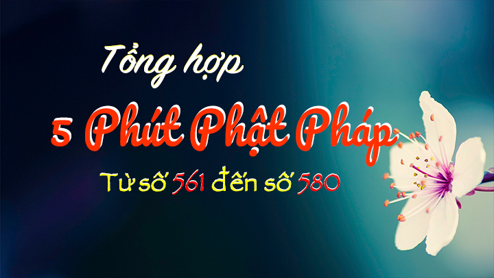 Tong Hop 5ppp 561-580
