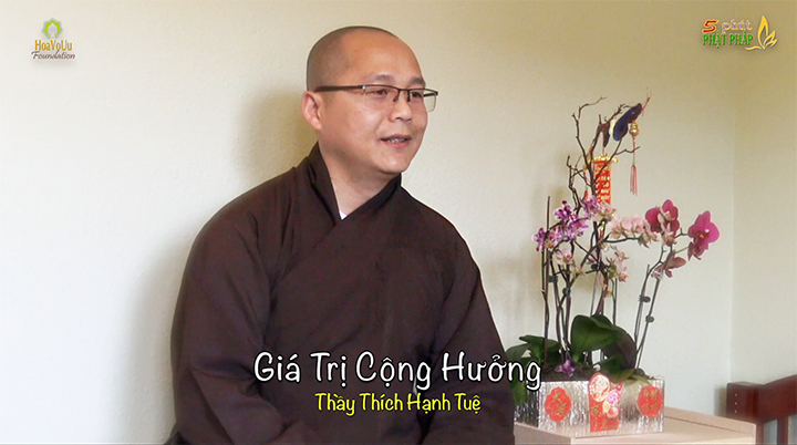 Thich Hanh Tue 272 Gia Tri Cong Huong