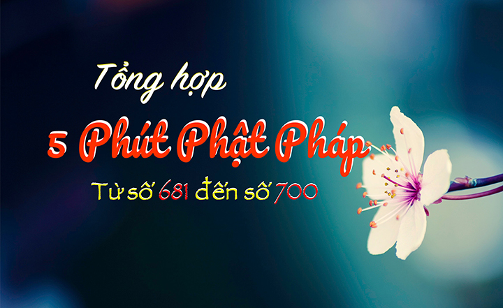 Tong Hop 5ppp 681 - 700