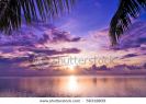 violet-sunset-under-palms-56318839-thumbnail