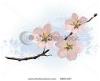 pink-cherry-blossom-9801397-thumbnail