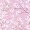 cherry-blossom-lg-thumbnail