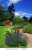 beautiful-garden-with-blooming-roses-brick-path-and-a-small-gazebo-17752462-thumbnail