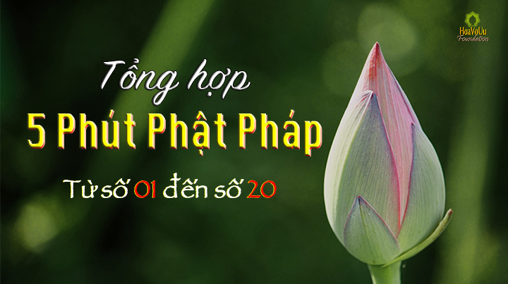 Tong Hop 5 PPP 01-20