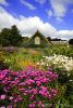 spring-magic-garden-with-flowers-and-house-lanhyd-thumb8795544-thumbnail