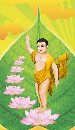 Bảy bước đi Phật đản sanh