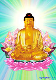 Phật Học Phổ Thông Khóa Thứ 8 Kinh Viên Giác
